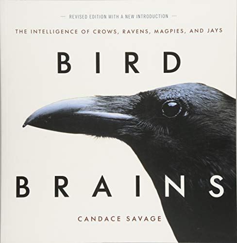 Bird Brains The Intelligence of Crows, Ravens, Magpies, and Jays [Paperback]