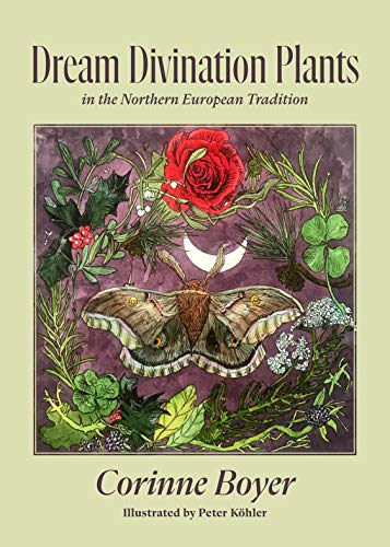 Dream Divination Plants In Northwestern European Traditions [Paperback]