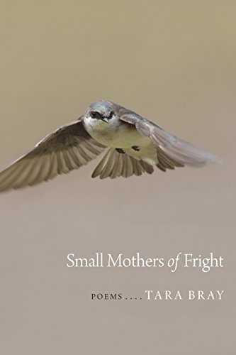 Small Mothers Of Fright Poems (goat Island Poetry) [Paperback]