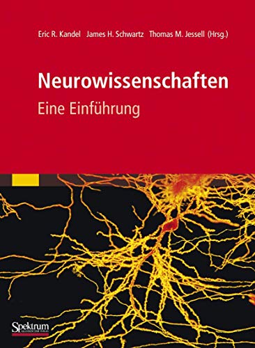 Neurowissenschaften Eine Einfhrung [Paperback]
