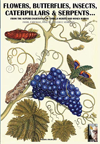 Flowers, Butterflies, Insects, Caterpillars & Serpents... From Sybilla Merian & [Paperback]
