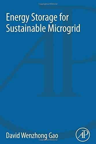 Energy Storage for Sustainable Microgrid [Paperback]