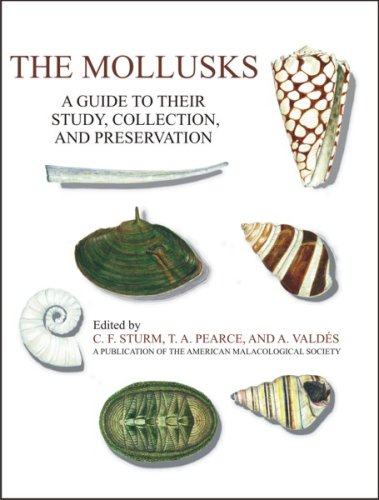 The Mollusks A Guide To Their Study, Collection, And Preservation [Paperback]