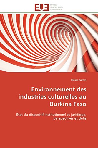 Environnement Des Industries Culturelles Au Burkina Faso Etat Du Dispositif Ins [Paperback]