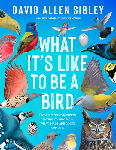What It's Like to Be a Bird (Adapted for Young Readers) From Flying to Nesting, [Hardcover]