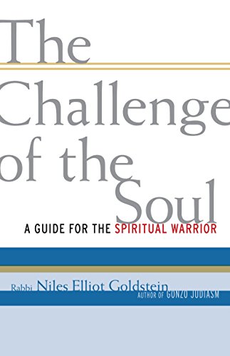The Challenge of the Soul A Guide for the Spiritual Warrior [Paperback]