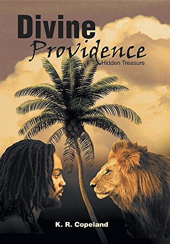 Divine Providence Hidden Treasure [Hardcover]
