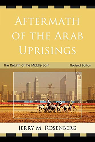 Aftermath of the Arab Uprisings The Rebirth of the Middle East [Paperback]