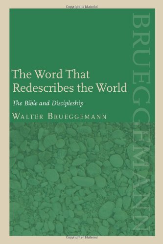 The Word That Redescribes The World The Bible And Discipleship [Paperback]