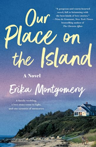 Our Place on the Island A Novel [Paperback]