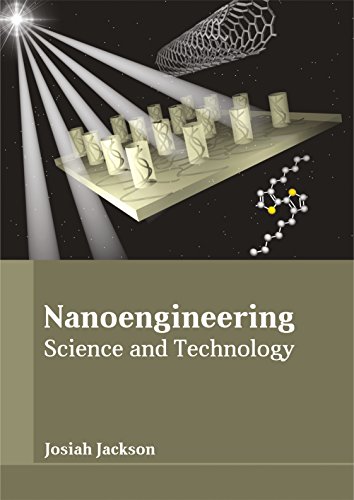 Nanoengineering Science And Technology [Hardcover]