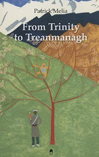 From Trinity To Treanmanagh [Paperback]