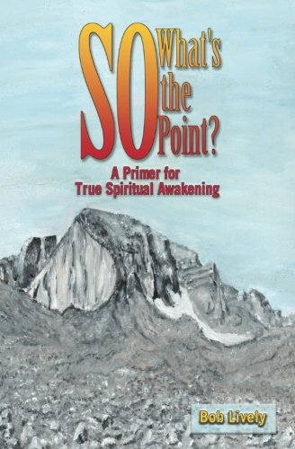 So What's the Point  A Primer for True Spiritual Awakening [Paperback]