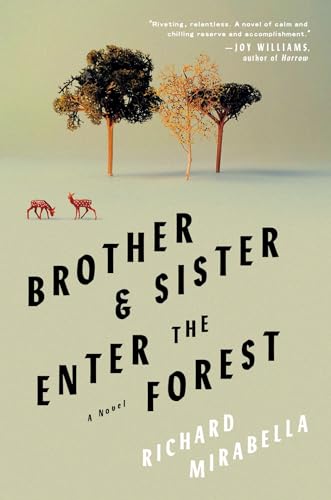 Brother &amp Sister Enter the Forest A Novel [Paperback]