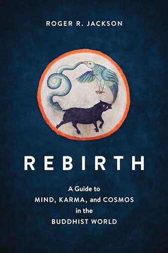 Rebirth A Guide to Mind, Karma, and Cosmos in the Buddhist World [Paperback]