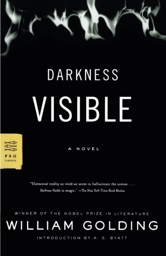 Darkness Visible A Novel [Paperback]