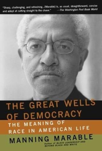 The Great Wells Of Democracy The Meaning Of Race In American Life [Paperback]