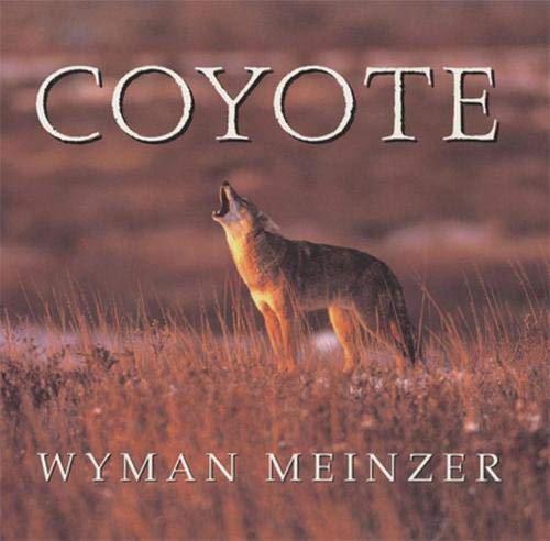 Coyote [Paperback]