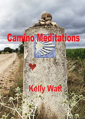 Camino Meditations [Paperback]