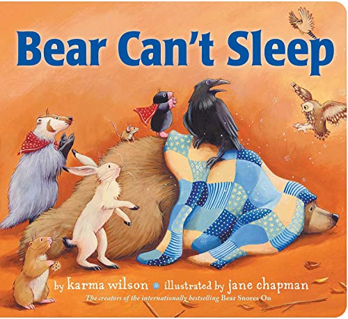 Bear Can&39t Sleep [Board book]