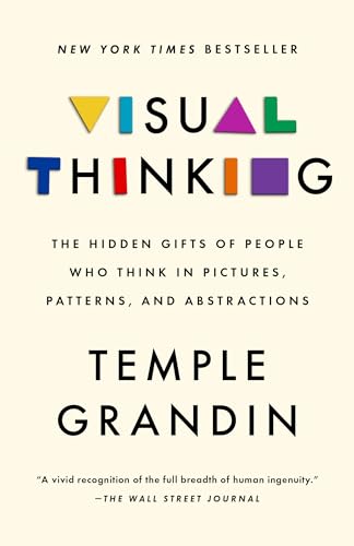 Visual Thinking The Hidden Gifts of People Who Think in Pictures, Patterns, and [Paperback]