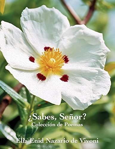 Sabes, Senor (spanish Edition) [Paperback]