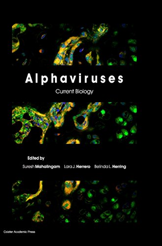 Alphaviruses Current Biology [Hardcover]