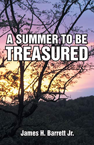 A Summer To Be Treasured [Paperback]