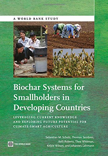 Biochar Systems for Smallholders in Developing Countries Leveraging Current Kno [Paperback]