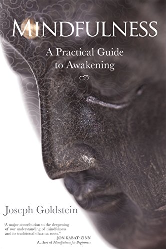 Mindfulness A Practical Guide To Awakening [Paperback]