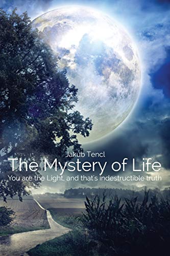 The Mystery Of Life You Are The Light, And That's Indestructible Truth [Paperback]