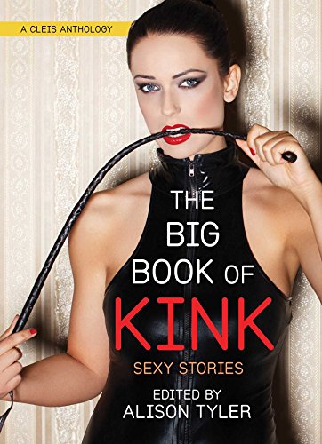 Big Book of Kink Sexy Stories [Paperback]