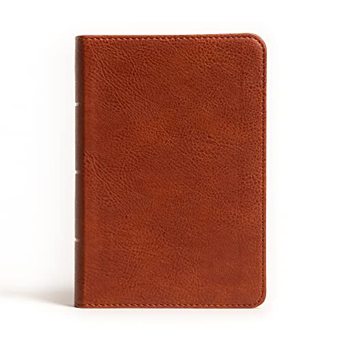 Nasb Lp Compact Ref Bib Burnt Sienna Lt  [CLOTH               ]