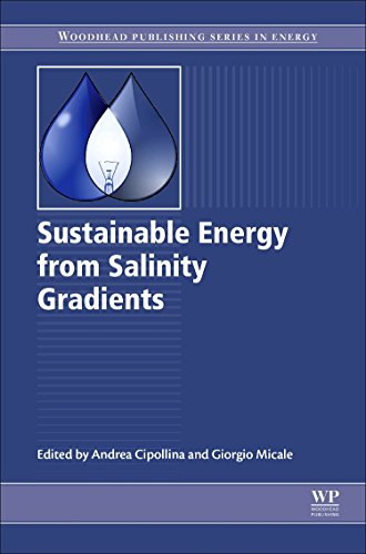 Sustainable Energy from Salinity Gradients [Hardcover]