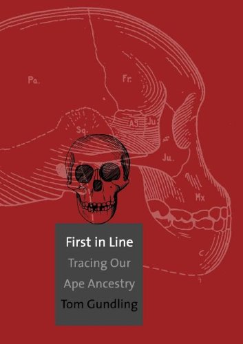 First in Line Tracing Our Ape Ancestry [Paperback]
