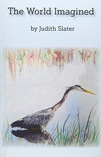 World Imagined [Paperback]