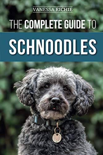 Complete Guide to Schnoodles  Selecting, Training, Feeding, Exercising, Sociali [Paperback]