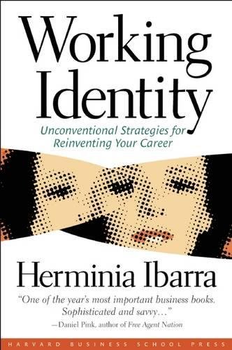 Working Identity Unconventional Strategies For Reinventing Your Career [Paperback]