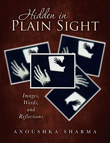 Hidden in Plain Sight  Images, Words, and Reflections [Paperback]