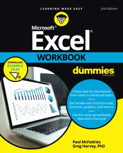 Excel Workbook For Dummies [Paperback]