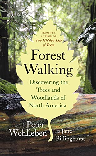 Forest Walking Discovering the Trees and Woodlands of North America [Paperback]