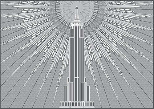 The Grey Ghost New York City Photographs [Hardcover]