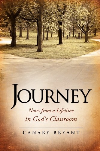 Journey [Paperback]