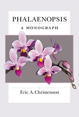 Phalaenopsis A Monograph [Paperback]