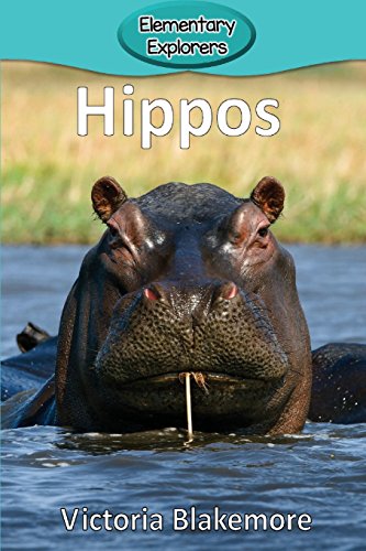 Hippos (elementary Explorers) [Paperback]