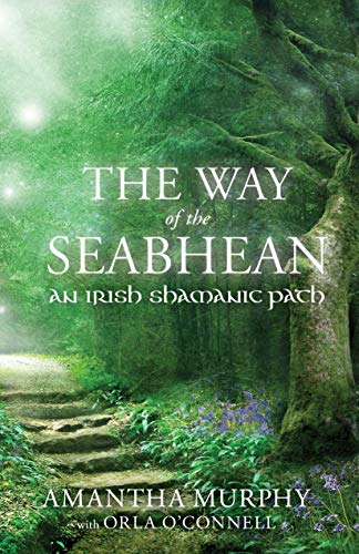 The Way of the Seabhean An Irish Shamanic Path [Paperback]