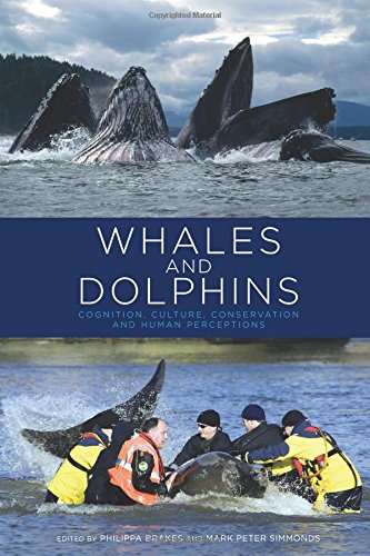 Whales and Dolphins Cognition, Culture, Conservation and Human Perceptions [Paperback]
