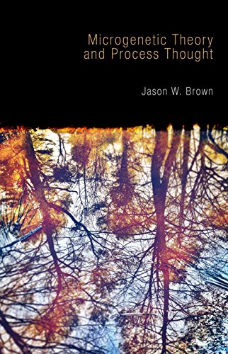 Microgenetic Theory And Process Thought [Paperback]