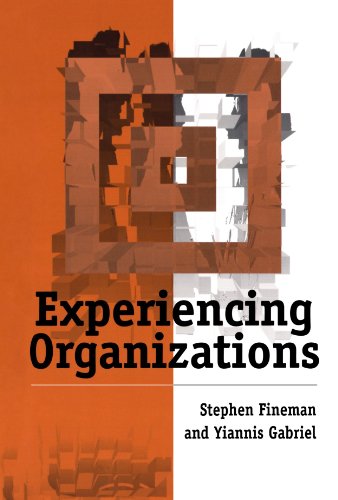 Experiencing Organizations [Paperback]