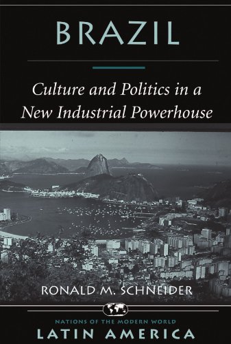 Brazil Culture And Politics In A New Industrial Powerhouse [Paperback]